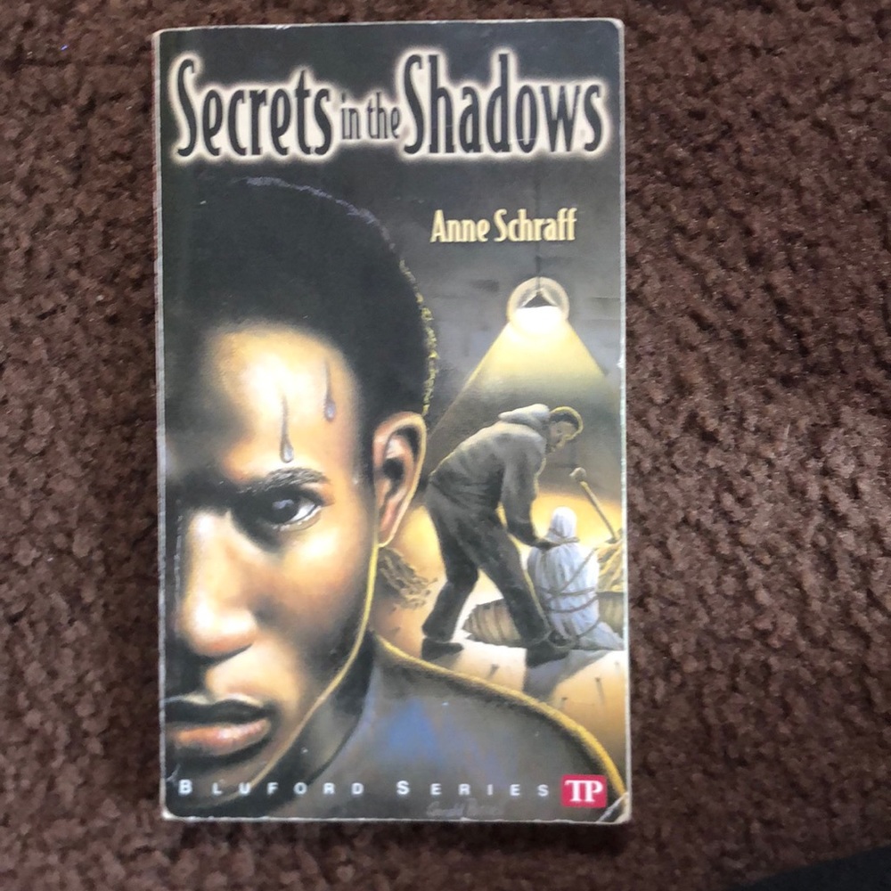 Secrets in the Shadows - Anne Schraff